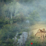 Fotoelaborazione - versante montano sferzato dalla pioggia, lupi